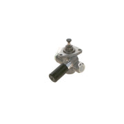 Bosch Fuel Pump Assembly