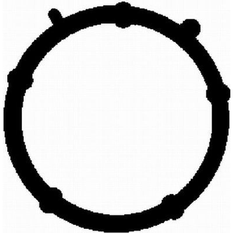 BGA Intake Manifold Gasket Thick fits Fiat Doblo 2001 on 1.9