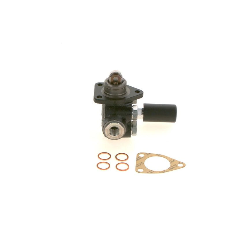 Bosch Fuel Pump Assembly