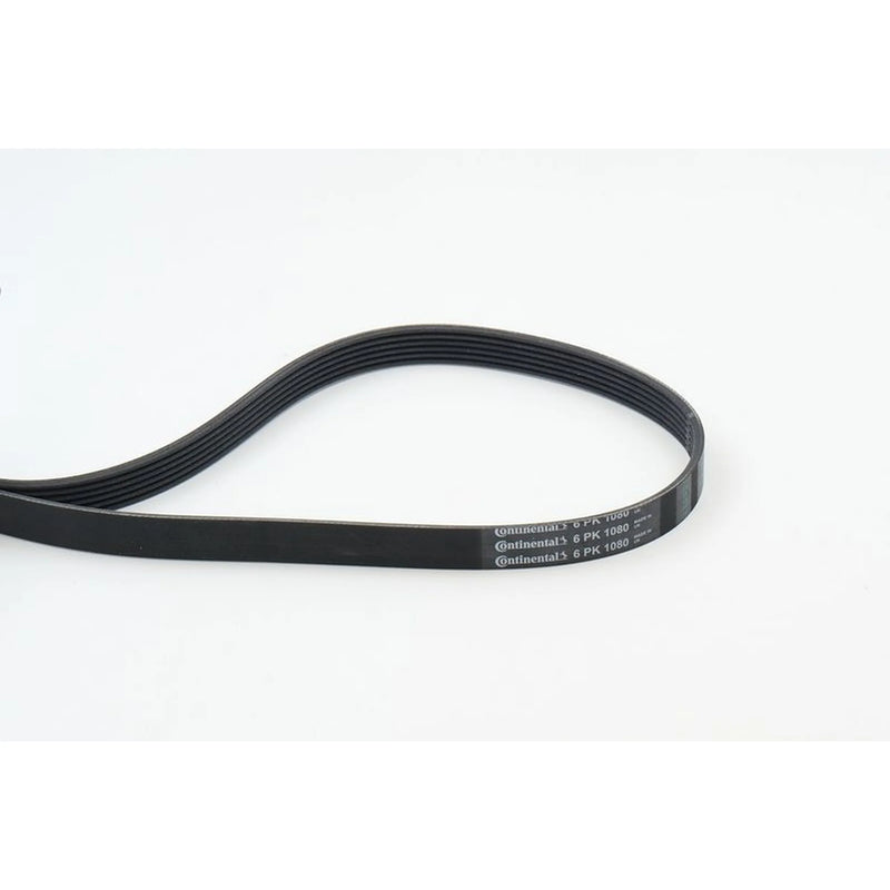 Continental CTAM Multi V-Ribbed Drive Belt fits Alfa Romeo 145 1995-2001 2.0