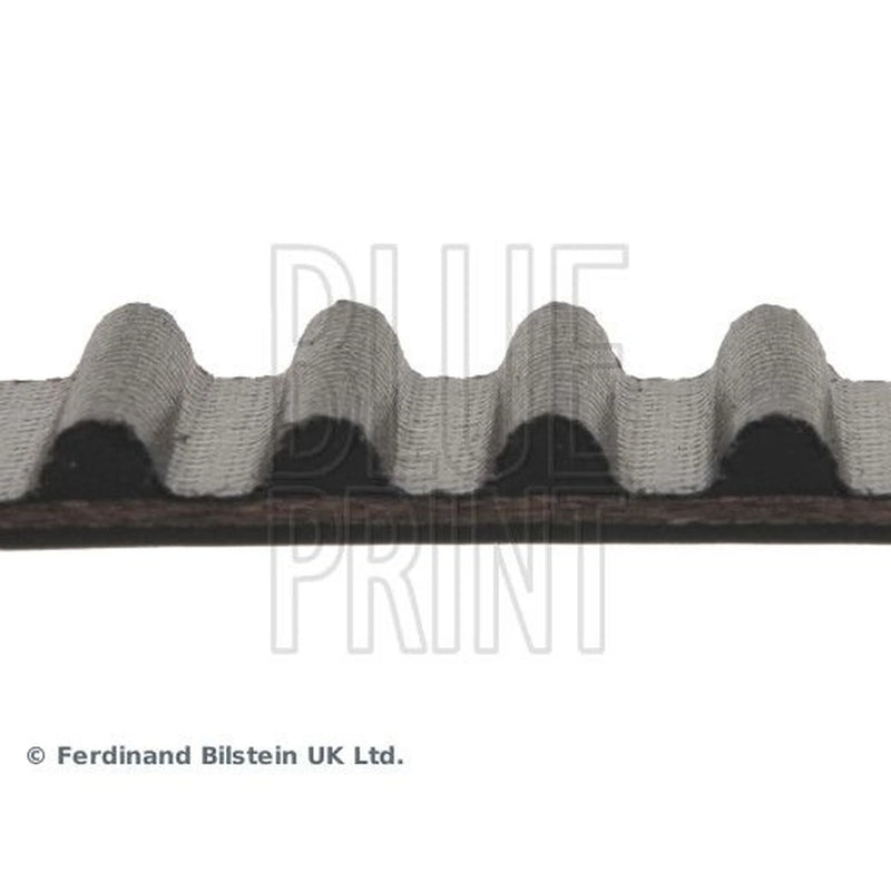 Blue Print Timing Belt Cambelt 112 Teeth ADA107504