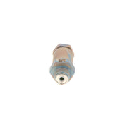 Bosch Fuel Rail Pressure Relief Valve (Common Rail Diesel)