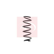 Apec Front Suspension Coil Spring ACS1328
