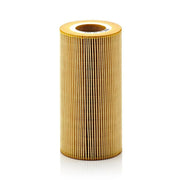 MANN-FILTER Service Kit with Air & Oil Filters fits Daf Xf 105 2005 on