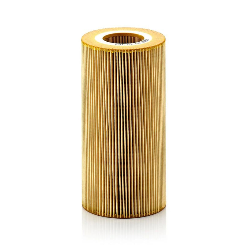 MANN-FILTER Service Kit with Air & Oil Filters fits Daf Xf 105 2005 on