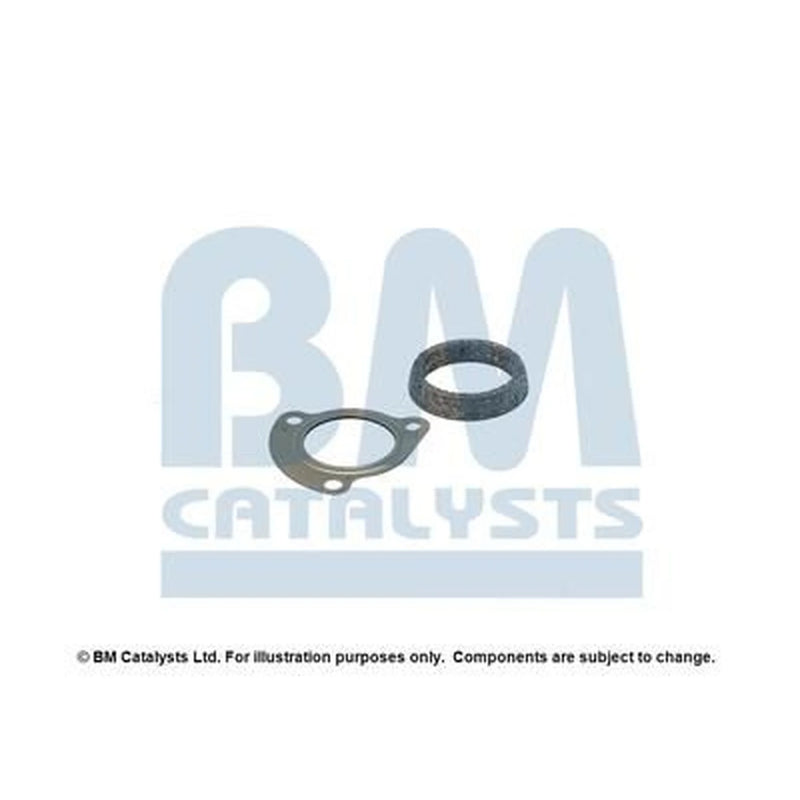 BM Catalysts Fitting Kit FK91973A FK91973A