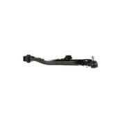 Delphi Control/Trailing Arm Lower fits Hyundai Grand Santa Fé 2013-2018