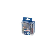 Bosch Car Bulb Assortment Set