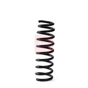 Apec Rear Suspension Coil Spring ACS2020