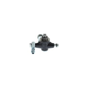 Bosch Fuel Pump Assembly
