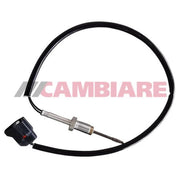 Cambiare Exhaust Gas Temperature Sensor after soot particulate VE390299