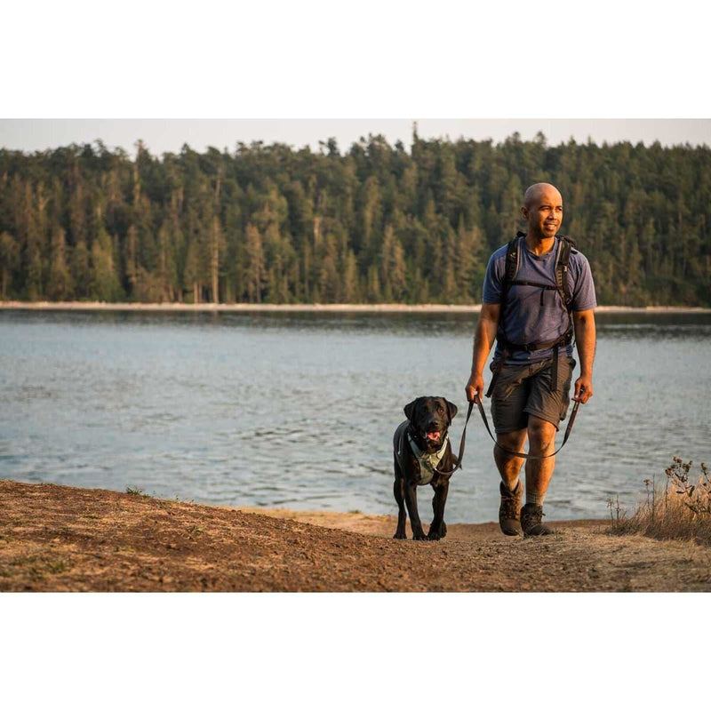 Ruffwear Front Range Dog Harness in River Rock Green (Medium) Ruffwear - Dynamic Drive