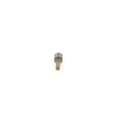 Bosch Diesel Injector Nozzle Tip