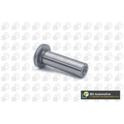 BGA Valve Tappet Lifter CF1498