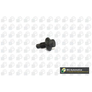 BGA Oil Sump Screw Plug PK2304