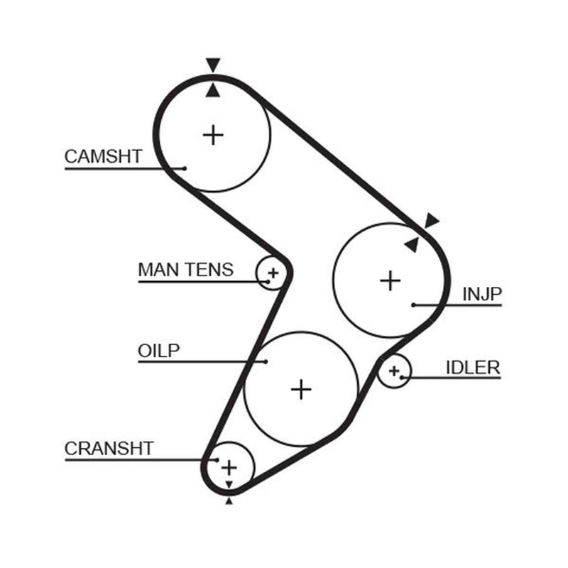 Gates Timing Belt Cambelt 143 Teeth fits Fiat Regata 1984-1989 1.9