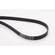 Continental CTAM Multi V-Ribbed Drive Belt fits Audi A4 B5 1997-2001 2.5