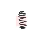 Apec Rear Suspension Coil Spring ACS1588
