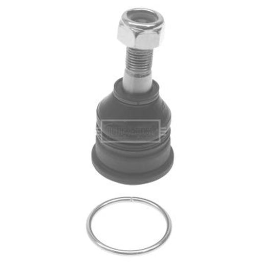 Borg & Beck Ball Joint Lower BBJ5373