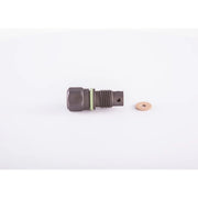Bosch Fuel Injection Control Valve