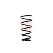 Apec 2 x Suspension Springs fits Suzuki Swift III 2006-2015 1.6