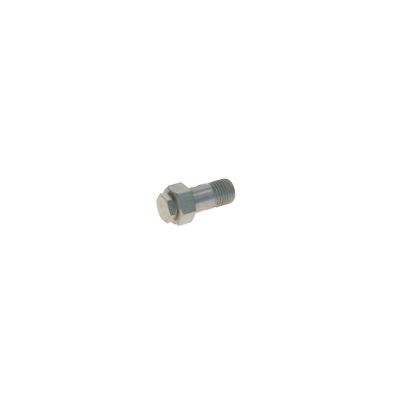 Bosch Fuel Injection Control Valve