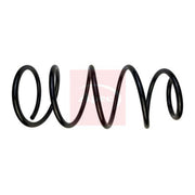Apec 2 x Suspension Springs fits Fiat Multipla 1999-2010 1.6 1.9