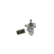 Bosch Fuel Pump Assembly