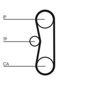 Continental CTAM Timing Belt Kit with Rollers fits Citroën C25 1991-1994 2.5