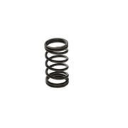 Bosch Compression Spring
