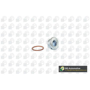 BGA Oil Sump Screw Plug PK1405