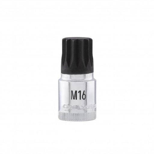 Carlyle Tools 3/8Dr M16 Multispline Bit 48mm Long - image 1