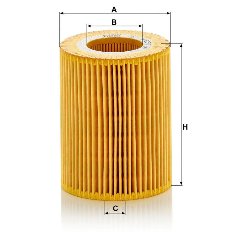 MANN-FILTER Service Kit with Air & Oil Filters fits Land Rover Freelander 2