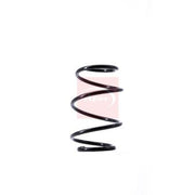 Apec Front Suspension Coil Spring fits BMW Z4 Roadster 2002-2009 2.0 2.2 2.5