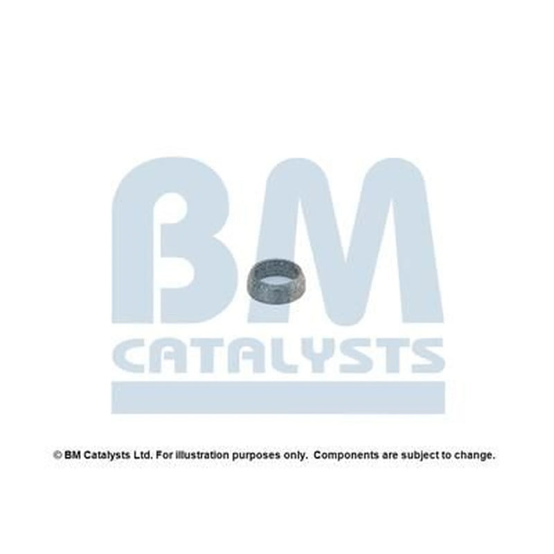 BM Catalysts Fitting Kit FK91590A FK91590A