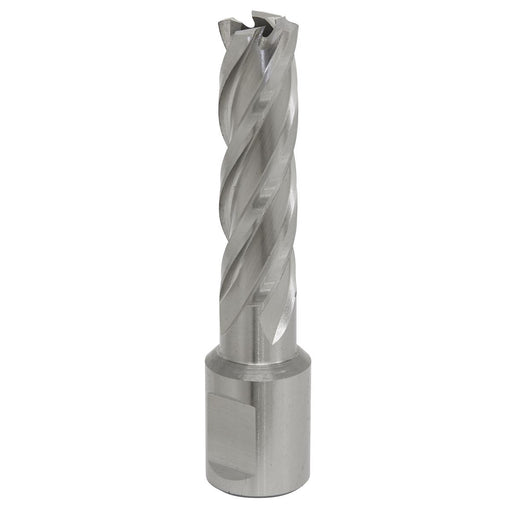 Sealey Rotabor Cutter HSS14mm Cut Depth 50mm RBHSS14L Sealey - Dynamic Drive