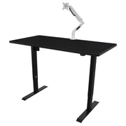 Dellonda Single Motor Adjustable-Height Electric Sit/Stand Desk - Black Desktop Dellonda - Dynamic Drive