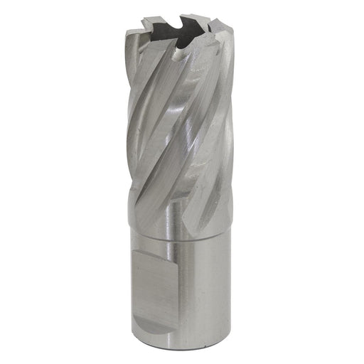 Sealey Rotabor Cutter HSS20mm Cut Depth 25mm RBHSS20S Sealey - Dynamic Drive