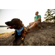 Ruffwear Front Range Dog Harness - Coastal Mountains Print (Medium) Ruffwear - Dynamic Drive