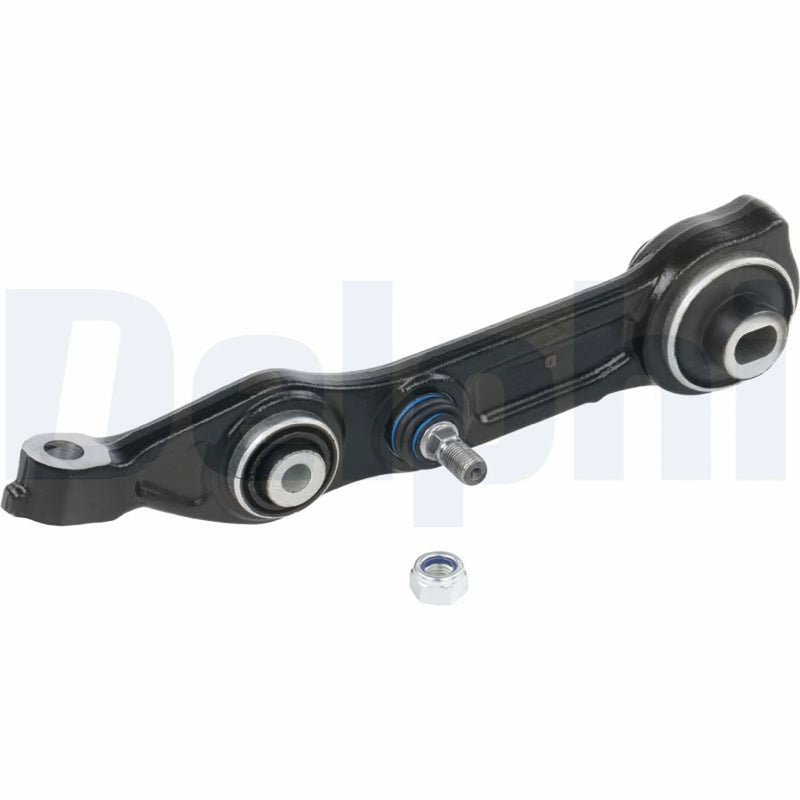 Delphi Control/Trailing Arm Rear TC1384A