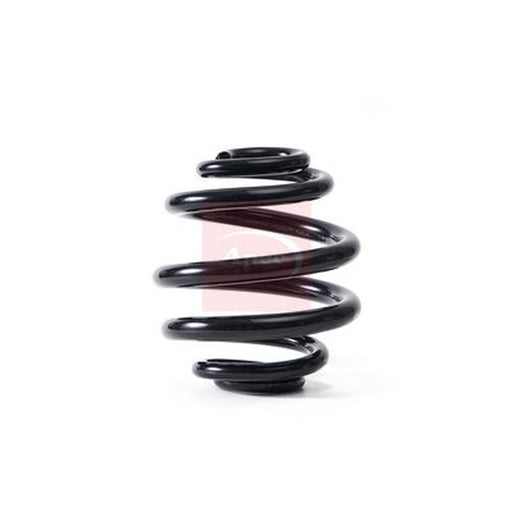Apec Rear Suspension Coil Spring fits Audi Tt 2003-2006 3.2