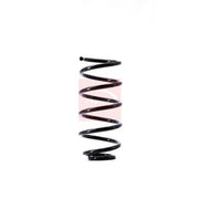 Apec Front Suspension Coil Spring fits Audi A3 1999-2003