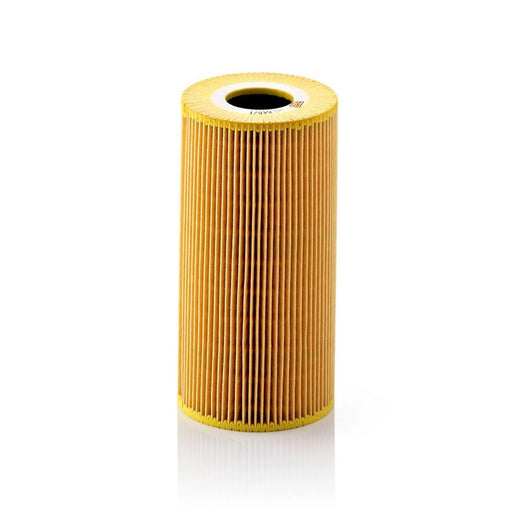 MANN-FILTER Service Kit with Air & Oil Filters fits Land Rover Range Rover