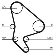 Continental CTAM Timing Belt Kit with Rollers fits Citroën C8 2002-2009 2.0