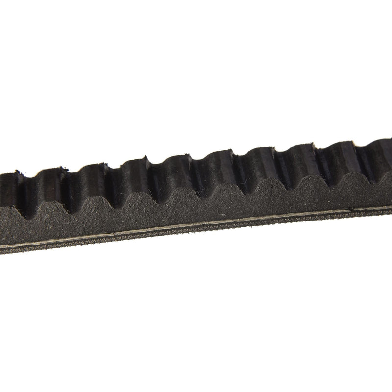 Genuine Continental ContiTech Drive Belt AVX10X1165 Continental Contitech  - Dynamic Drive