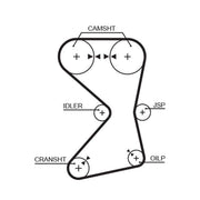 Gates Timing Belt Cambelt 151 Teeth 1258RM