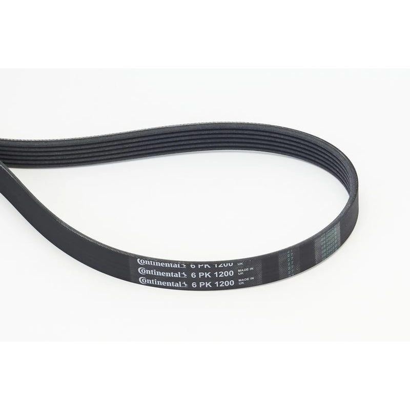 Continental CTAM Multi V-Ribbed Drive Belt fits Citroën C5 II Break 2006-2008