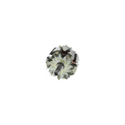 Bosch Alternator Rotor