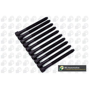 BGA Cylinder Head Bolt Set M10 BK3346