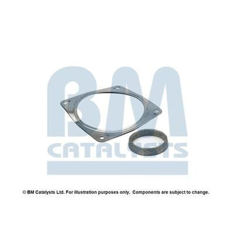 BM Catalysts Fitting Kit FK80256A FK80256A